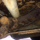 Image for article titled Nine Scary Ways That Your Automobile Can Fail